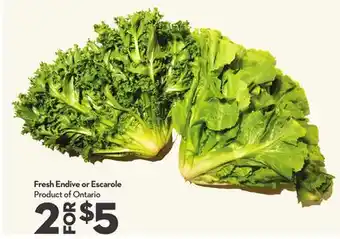 Longo's Fresh Endive or Escarole offer