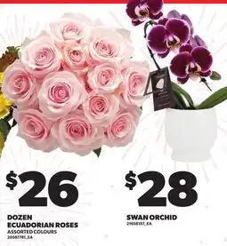Loblaws DOZEN ECUADORIAN ROSES offer