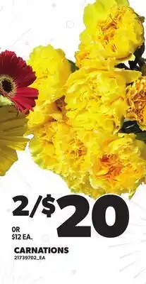 Loblaws CARNATIONS offer