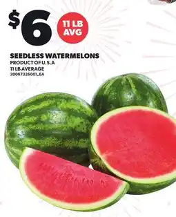 Loblaws SEEDLESS WATERMELONS, 11 LB AVG offer