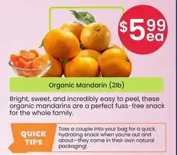 Healthy Planet Organic Mandarin offer