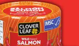 Food Basics CLOVER LEAF YELLOWFIN TUNA OR FLAVORED SALMON offer