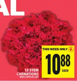 Food Basics 15 STEM CARNATIONS offer