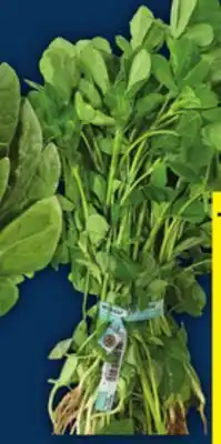 Food Basics SPINACH offer