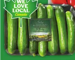 Food Basics MINI CUCUMBERS offer