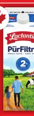Food Basics LACTANTIA PURFILTRE MILK offer