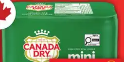 Food Basics COCA-COLA OR CANADA DRY GINGER ALE offer
