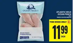 Food Basics ATLANTIC WILD OCEAN PERCH offer