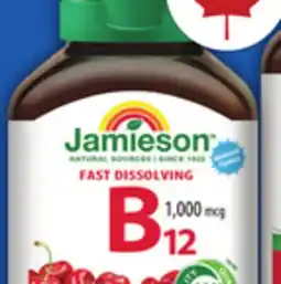 Food Basics JAMIESON B12, MAGNESIUM offer