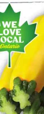 Food Basics GREEN, GRAY OR YELLOW ZUCCHINI offer