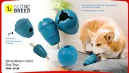 Ren’s Pets Depot BeOneBreed OBEE! Dog Toys offer