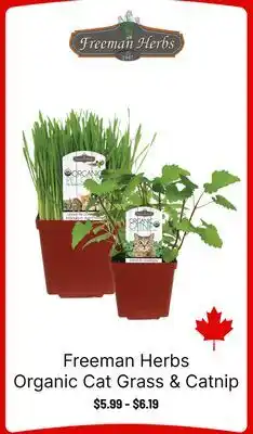 Ren’s Pets Depot Freeman Herbs Organic Cat Grass & Catnip offer