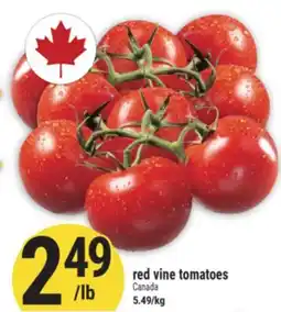 Marché Adonis red vine tomatoes offer