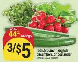 Marché Adonis radish bunch, english cucumbers or coriander offer