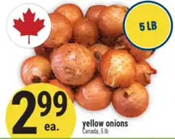 Marché Adonis yellow onions offer