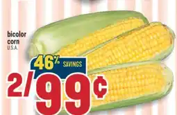 Marché Adonis bicolor corn offer