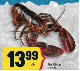 Marché Adonis live lobster offer