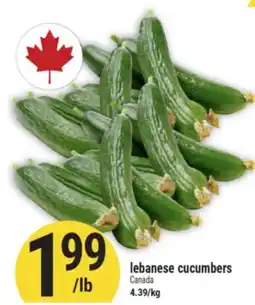Marché Adonis lebanese cucumbers offer