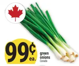 Marché Adonis green onions offer