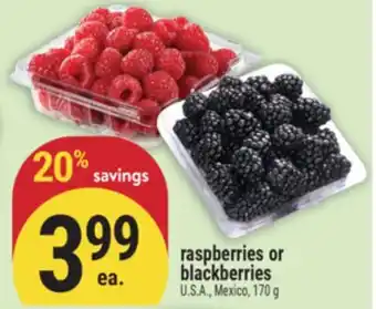 Marché Adonis raspberries or blackberries offer