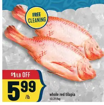 Marché Adonis whole red tilapia offer
