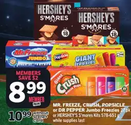 Foodland Jumbo Freezies offer