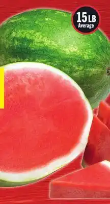 Foodland Large Watermelon offer