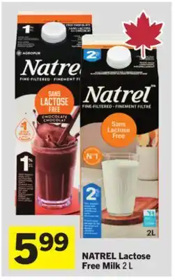 Foodland Lactose Free Milk offer