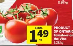 Foodland Tomatoes on the Vine offer