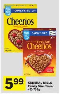 Foodland Family Size Cereal offer