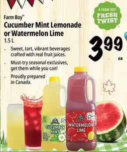 Farm Boy Farm Boy Cucumber Mint Lemonade or Watermelon Lime offer