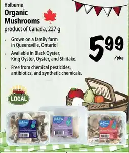 Farm Boy Holburne Organic Mushrooms offer
