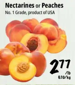 Farm Boy Nectarines or Peaches offer