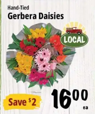 Farm Boy Hand-Tied Gerbera Daisies offer