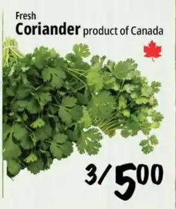 Farm Boy Fresh Coriander offer
