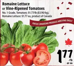 Farm Boy Romaine Lettuce or Vine-Ripened Tomatoes offer