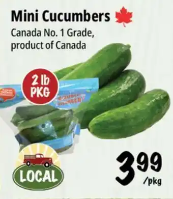 Farm Boy Mini Cucumbers offer