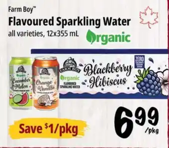 Farm Boy Farm Boy Flavoured Sparkling Water offer