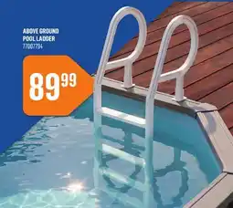 Canac Above Ground Pool Ladder offer