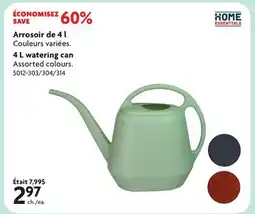 Home Hardware 4 L watering can offer