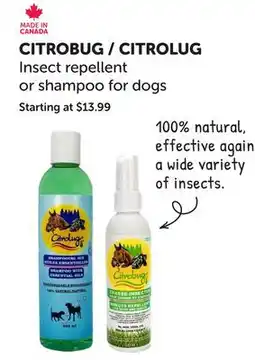 Mondou CITROBUG/CITROLUG Insect repellent or shampoo for dogs offer