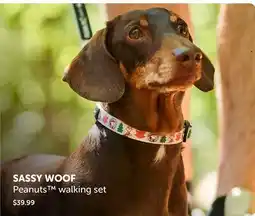 Mondou SASSY WOOF Peanuts walking set offer