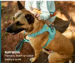 Mondou RUFFWEAR Harness, leash or collar offer