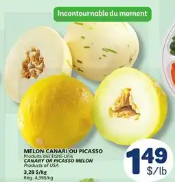 Marché Bonichoix CANARY OR PICASSO MELON offer