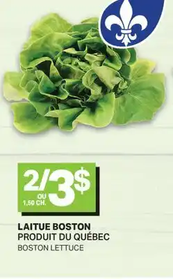 L'Intermarché LAITUE BOSTON | BOSTON LETTUCE offer