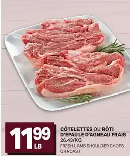 L'Intermarché CÔTELETTES OU RÔTI D'ÉPAULE D'AGNEAU FRAIS | FRESH LAMB SHOULDER CHOPS OR ROAST offer