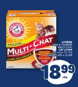 Marché Bonichoix ARM & HAMMER MULTI-CHAT CAT LITTER offer