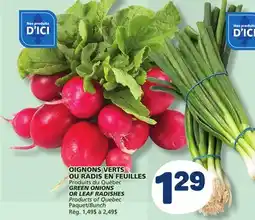 Marché Bonichoix GREEN ONIONS OR LEAF RADISHES offer