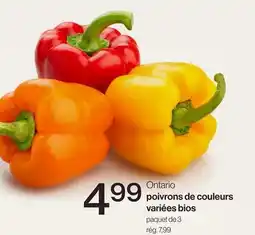 Avril Ontario poivrons de couleurs variées bios offer