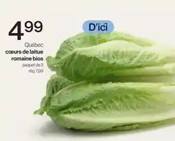 Avril Québec cœurs de laitue romaine bios offer